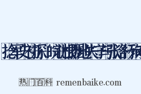 捻军史初探·皖北根据地失守与张洛行殉难是什么意思的图片